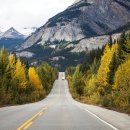 유일주유소 이미지