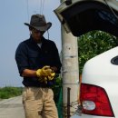 상용농장 이미지