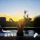 실론제주 | 제주도 서쪽 숙소 추천 판포포구 근처 풀빌라 신상 독채펜션 실론제주