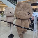 화스퀘어 | [빵고미 팝업] 영등포 타임스퀘어 빵고미 귀여운 팝업 후기