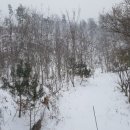 우산농장 이미지