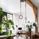 플랜테리어 이미지