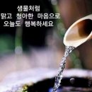 ♤蒲公英(포공영)♧ 이미지