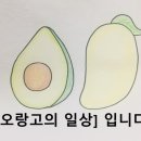 춘천농민한우신북점 이미지
