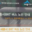 세종고속시외버스터미널BRT건너편 이미지