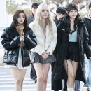 리즈 이미지
