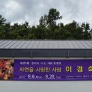 새로나모