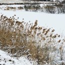 목천대로 이미지