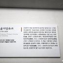 녹문