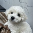 송이종합동물병원 이미지