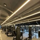 사우4길 이미지