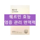 마이디데이 퀘르민 내돈내산 후기 피부 염증 여드름 효과 복용방법