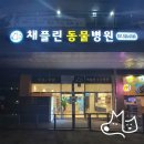 채플린동물병원 이미지