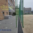 양지초등학교 이미지