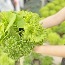 호남 스마트 팜 이미지