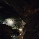 풍년닭집 | 삼척치킨 중앙시장에서 소문난 보성닭집 후라이드