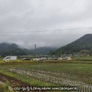 지방도633호선 이팝나무 | [신선-삶·글·프] 나무와 정자가 어우러진 멋진 풍경, 밀양 위양지