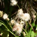 창동초등학교 이미지