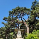 무인텔골프 이미지