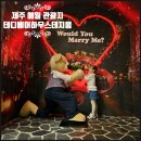 테지움사파리 | 제주도 서쪽 여행 코스 아이와 테디베어하우스테지움 제주 애월 관광지