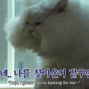 승기농장 이미지