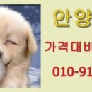 마산복아구전문점 이미지