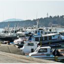 금산선착장 이미지