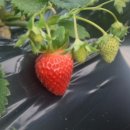 재성농장 이미지