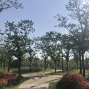 새차하기 좋은날 이미지