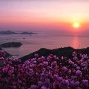 오늘 그리고 꽃