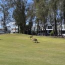 WE Q클럽 | 호주 골프 여행 계획시 주의 사항을 골친자가 콕콕 짚어드립니다.