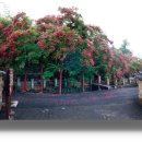 고려동유적지 이미지