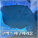 진솔수중레저샵 | [삼성] 서울실내데이트 추천 씨라이프 코엑스 아쿠아리움 | 할인정보, 수중공연 후기