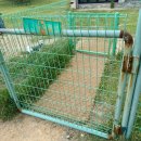 올레애견펜션 이미지