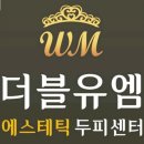 더블유엠 (WM)