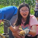 간문초교 이미지