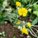 오미2동 이미지