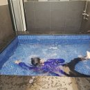 어온풀빌라 | (거제콧바람쐬기) 어온풀빌라펜션 방문기