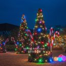 신상열 | 연말에 가볼만한곳 여행지 추천 9곳