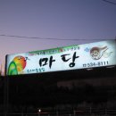 무릉계곡 진입로 이미지