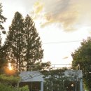 목천대로 이미지