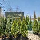 영중농장 이미지