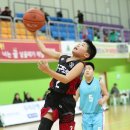 도림초등학교 이미지