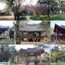 거창-북상-4 이미지