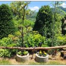 추동마을입구 이미지