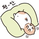 호텔정글(jungle) 이미지