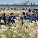 남포마을 이미지