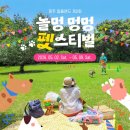 펫스티벌 Daum카페