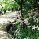 강천산 캠핑 이미지