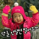 아쿠아 스쿠버 이미지